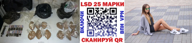 купить наркотик  mega маркетплейс  ЛСД экстази ecstasy  Новоржев 