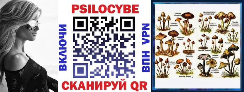 Псилоцибиновые грибы Magic Shrooms Новоржев